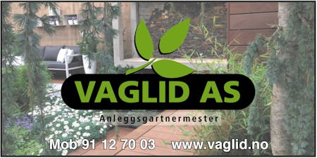 Vaglid AS