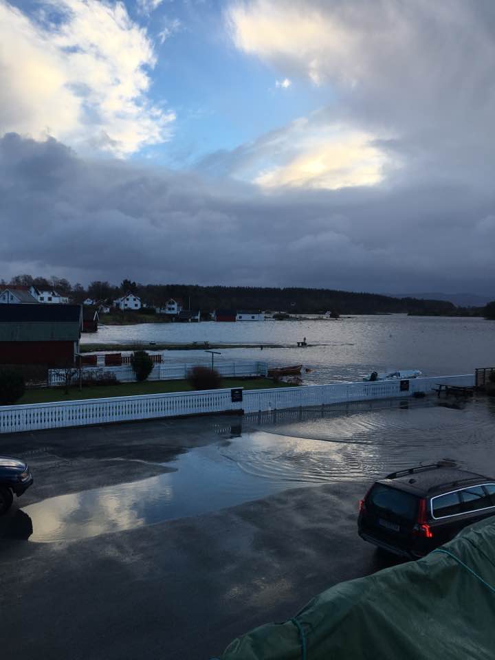 16105840_10154150879671408_7983416051381032583_n