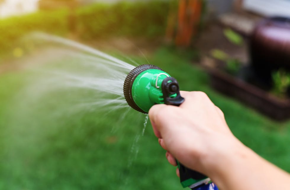 water hose or spray into the green garden yard at sunset