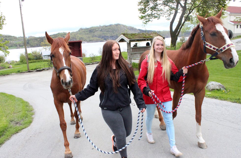 Tonje Galta (18) og Trine Lise Meyer Thune (18) ved Tveit videregående skule ber trafikantene ta mer hensyn til hest i trafikken.  
Foto: Karina Søvik