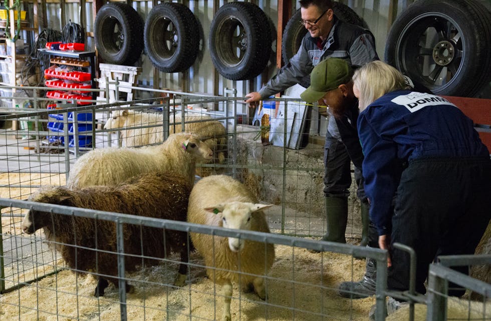 Hilde Håland og Håvard Helgeland var dommarar.