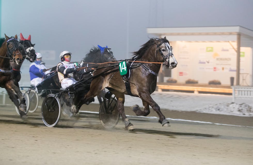 Momarken14022017_Johan Kringeland Eriksen vant løp 4 med Kringeland Enok_foto_Roger Svalsrød_hesteguiden.com