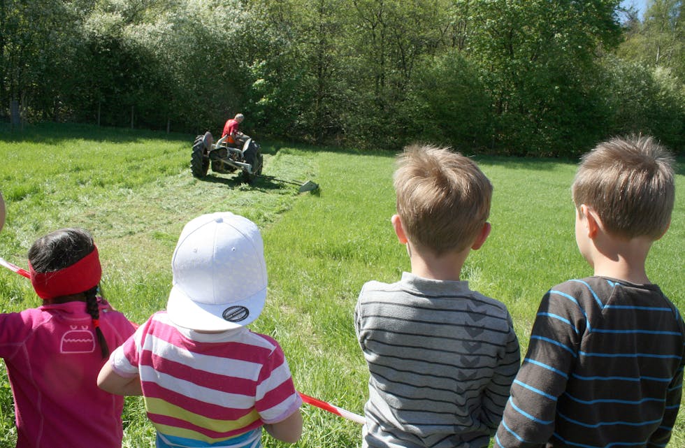 Engasjerte tilskoderar ser på at «Gråtass» slår graset på gamalt vis. Foto: Ingvild Myklebust