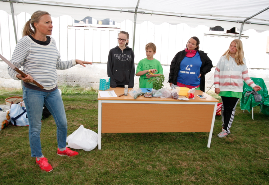 Skjermbilde 2014-06-21 kl. 13.38.38