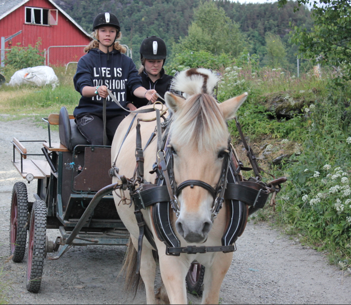 Skjermbilde 2014-06-21 kl. 15.25.16