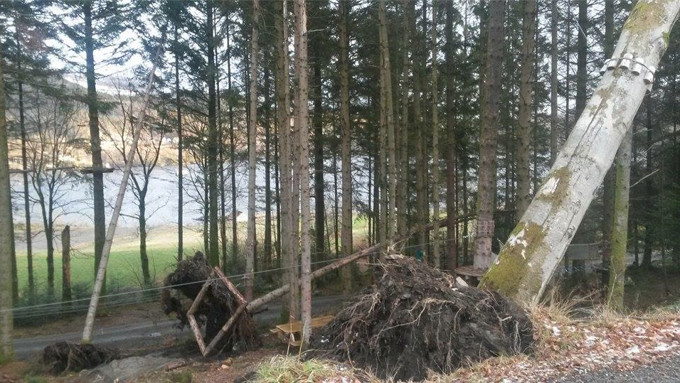 Skjermbilde 2015-01-12 kl. 09.42.40