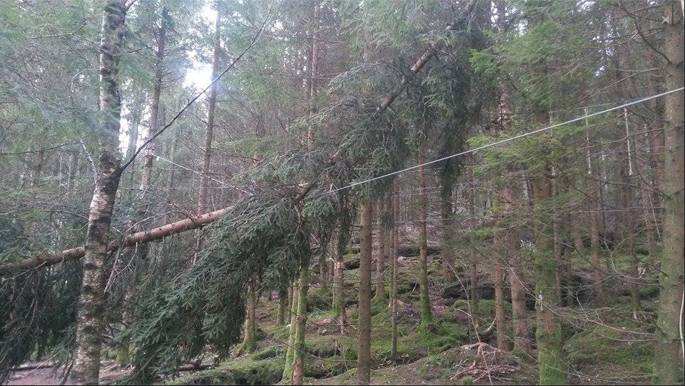 Skjermbilde 2015-01-12 kl. 09.43.01