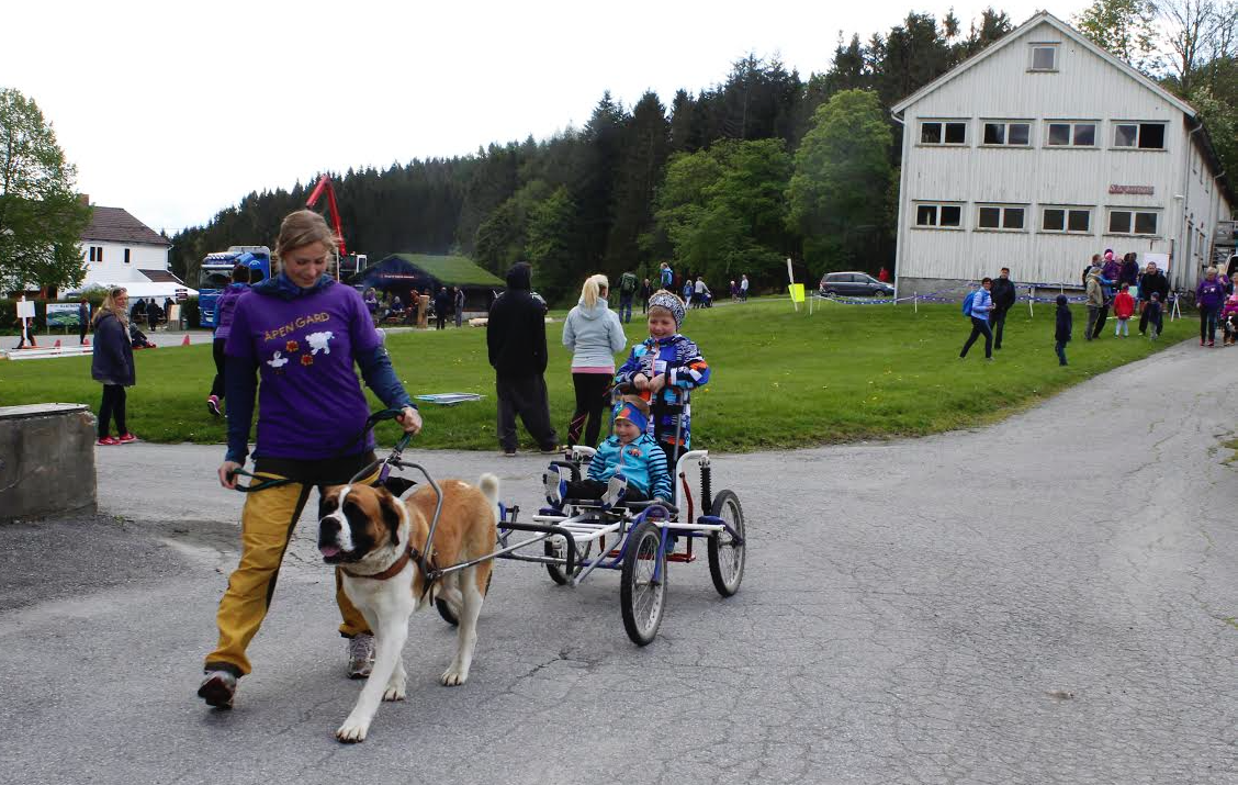 Skjermbilde 2015-05-31 kl. 17.57.17