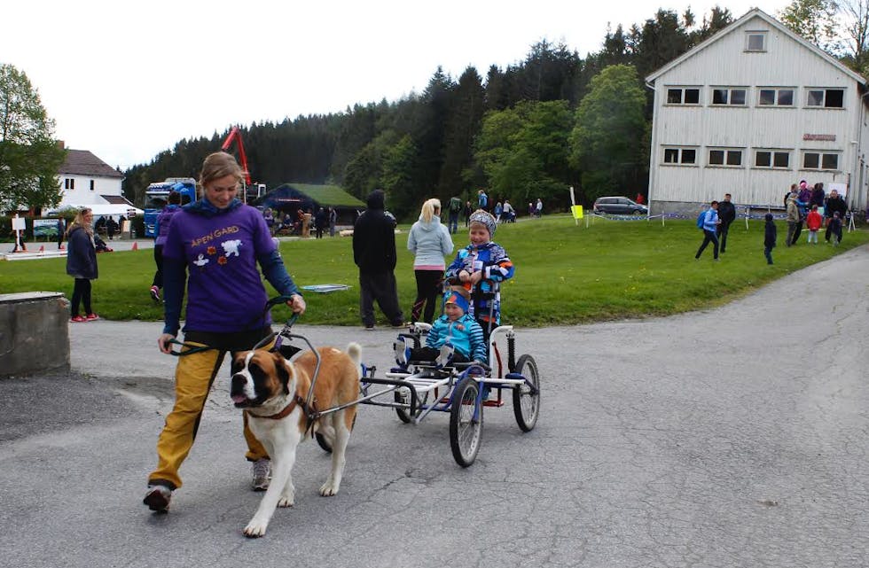 Skjermbilde 2015-05-31 kl. 17.57.17