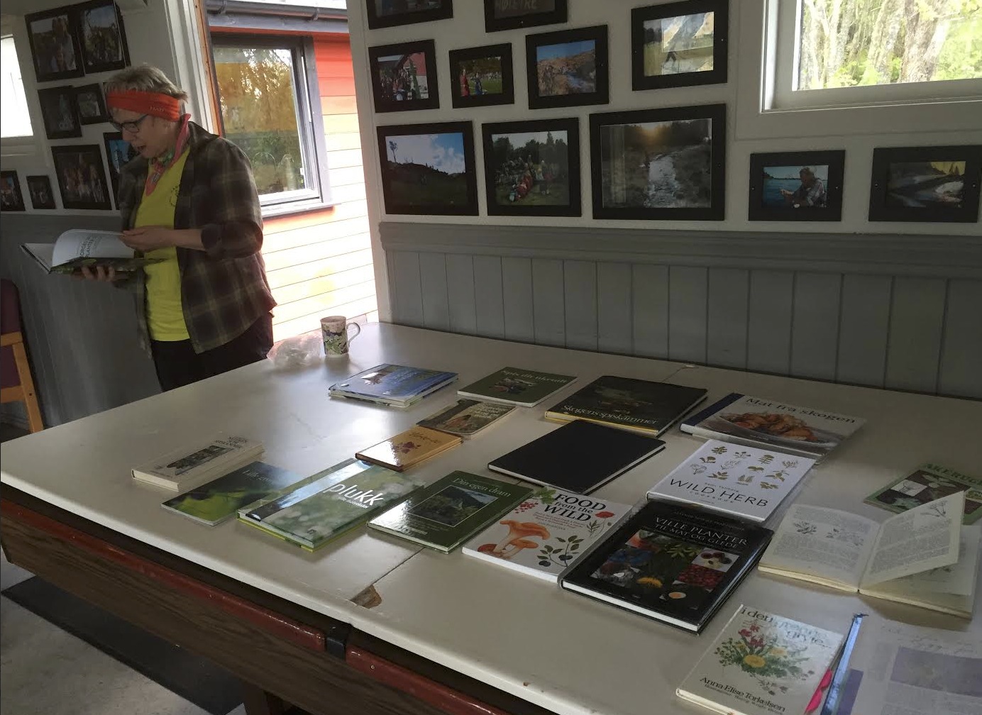 Skjermbilde 2015-06-02 kl. 15.42.08