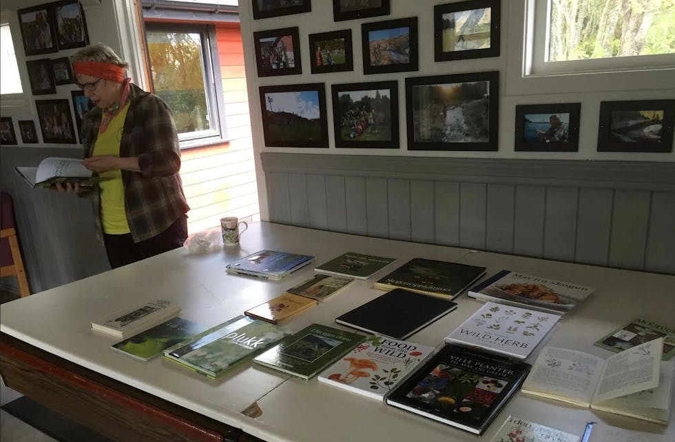 Skjermbilde 2015-06-02 kl. 15.42.08