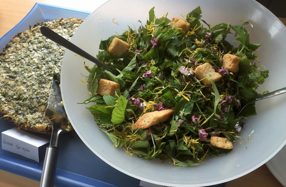 Skjermbilde 2015-06-02 kl. 15.42.37