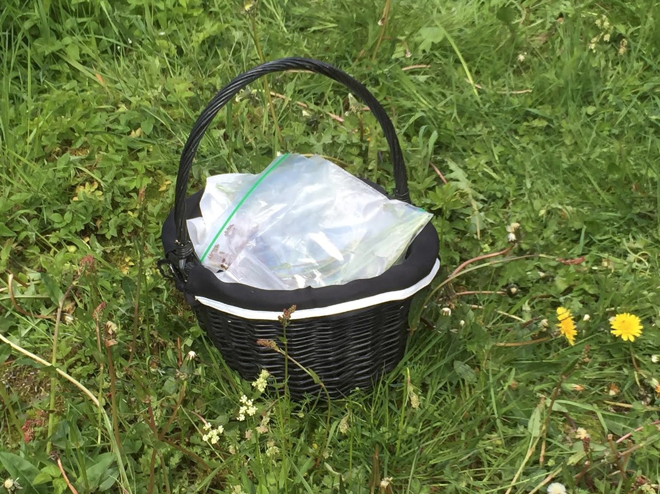 Skjermbilde 2015-06-02 kl. 15.42.43