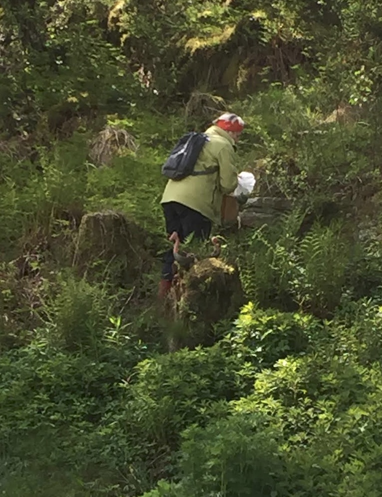 Skjermbilde 2015-06-02 kl. 15.42.49