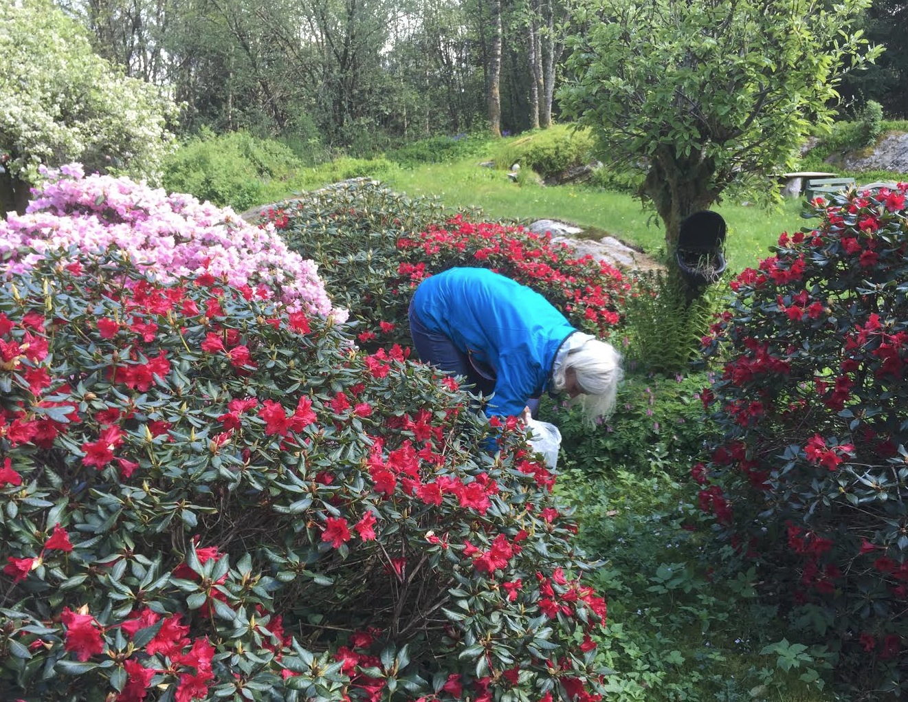 Skjermbilde 2015-06-02 kl. 15.42.55