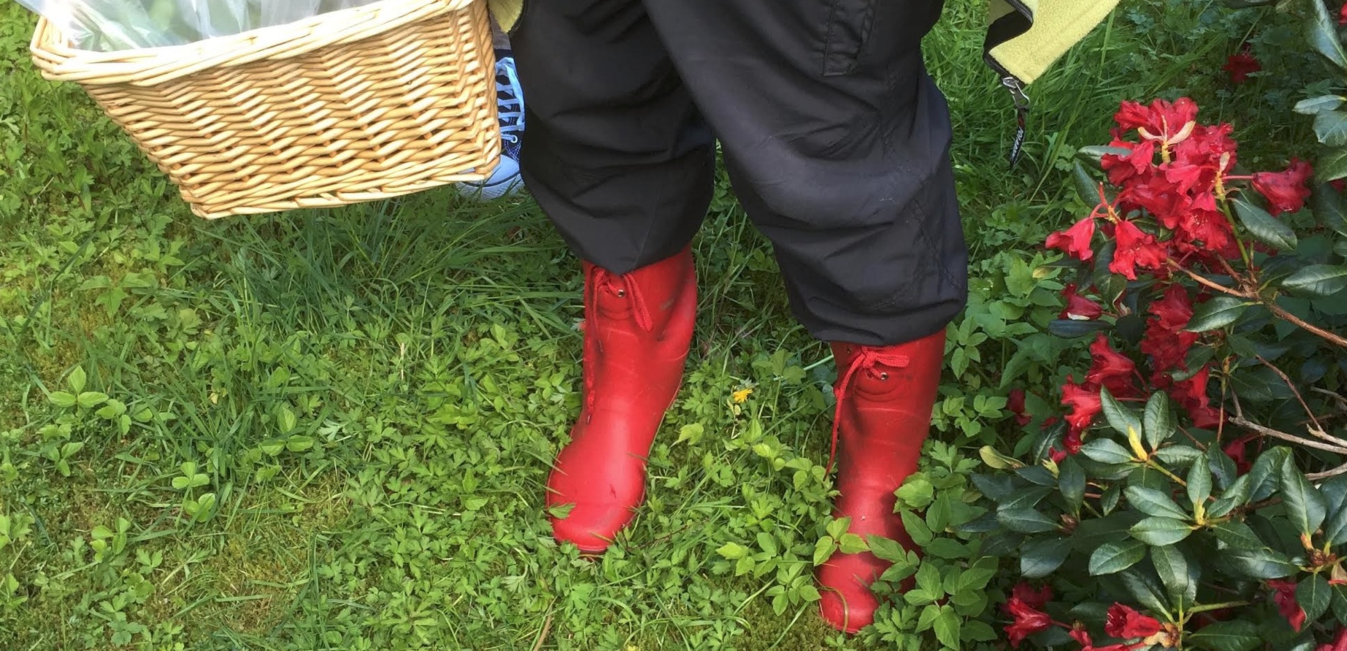 Skjermbilde 2015-06-02 kl. 15.43.29