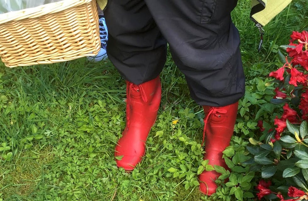 Skjermbilde 2015-06-02 kl. 15.43.29