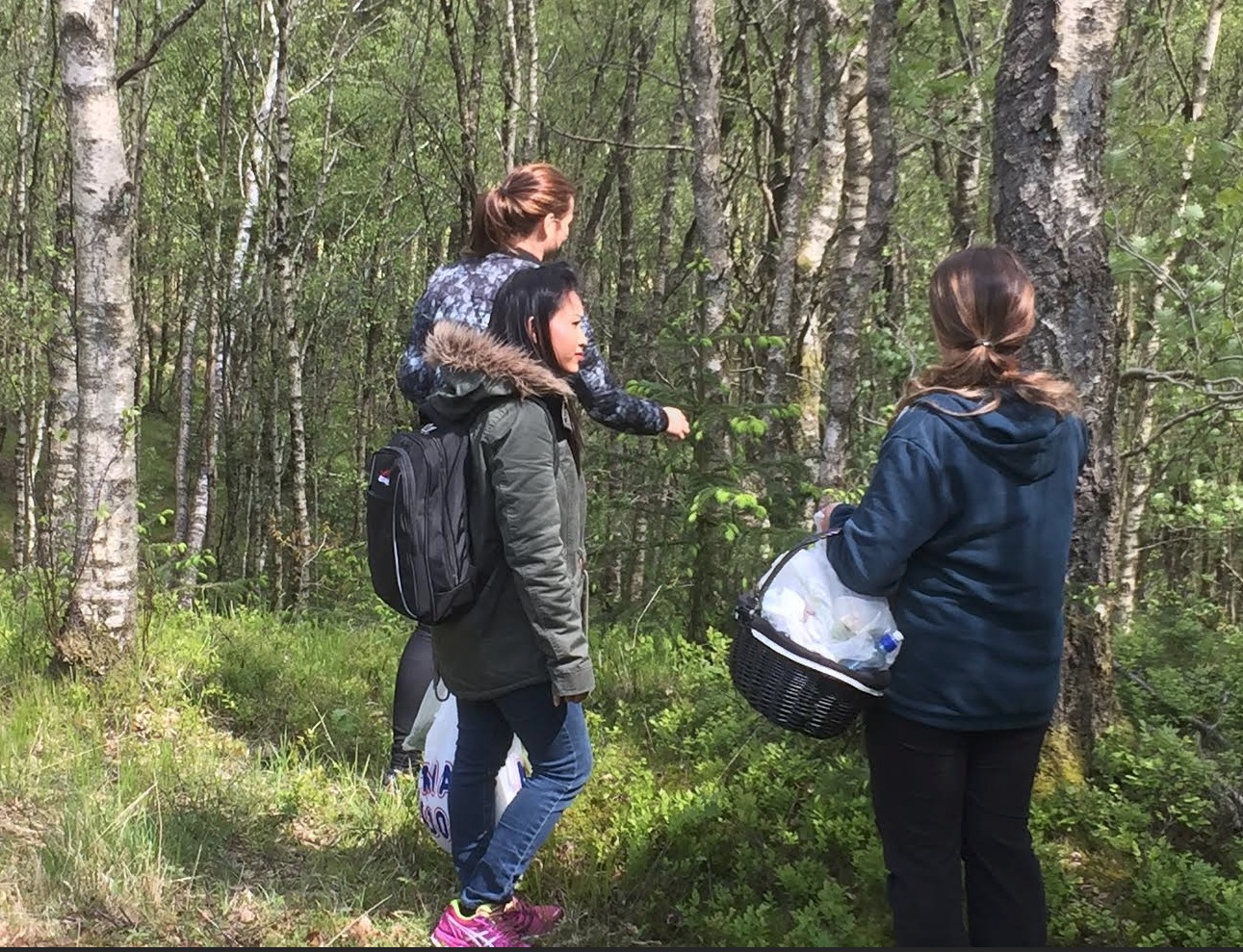 Skjermbilde 2015-06-02 kl. 15.43.46