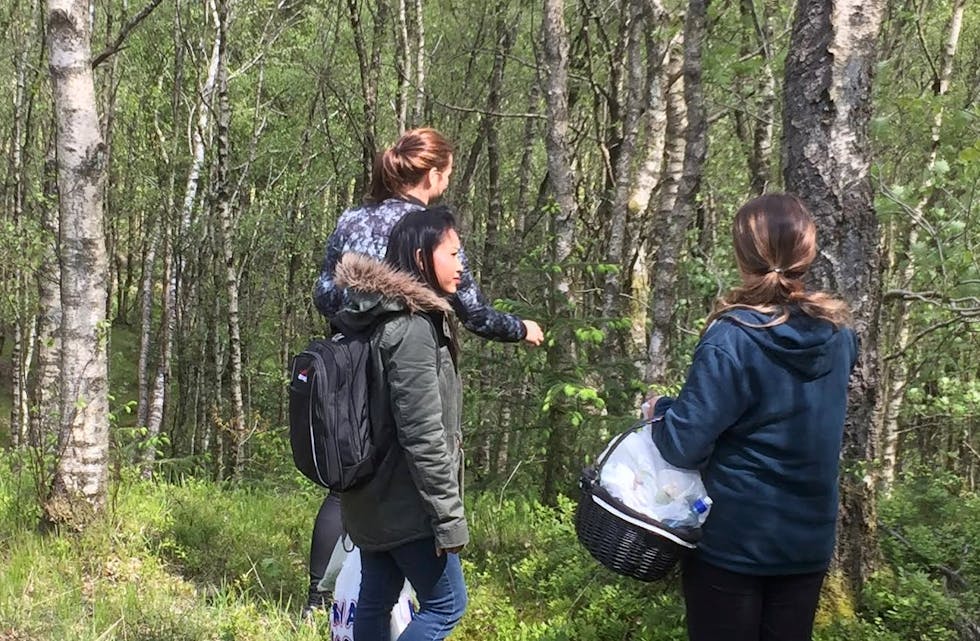 Skjermbilde 2015-06-02 kl. 15.43.46