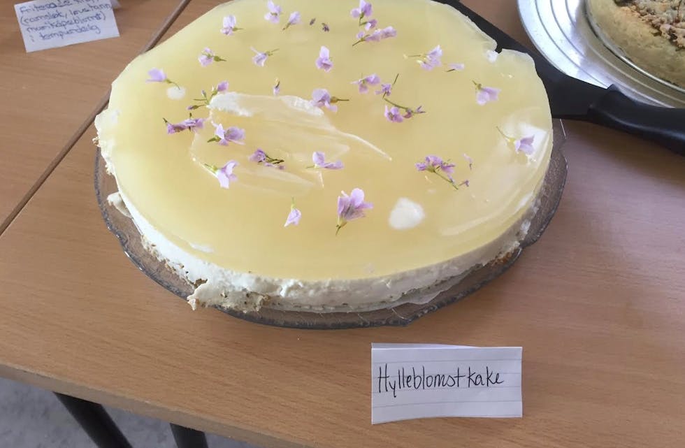 Skjermbilde 2015-06-02 kl. 15.43.52