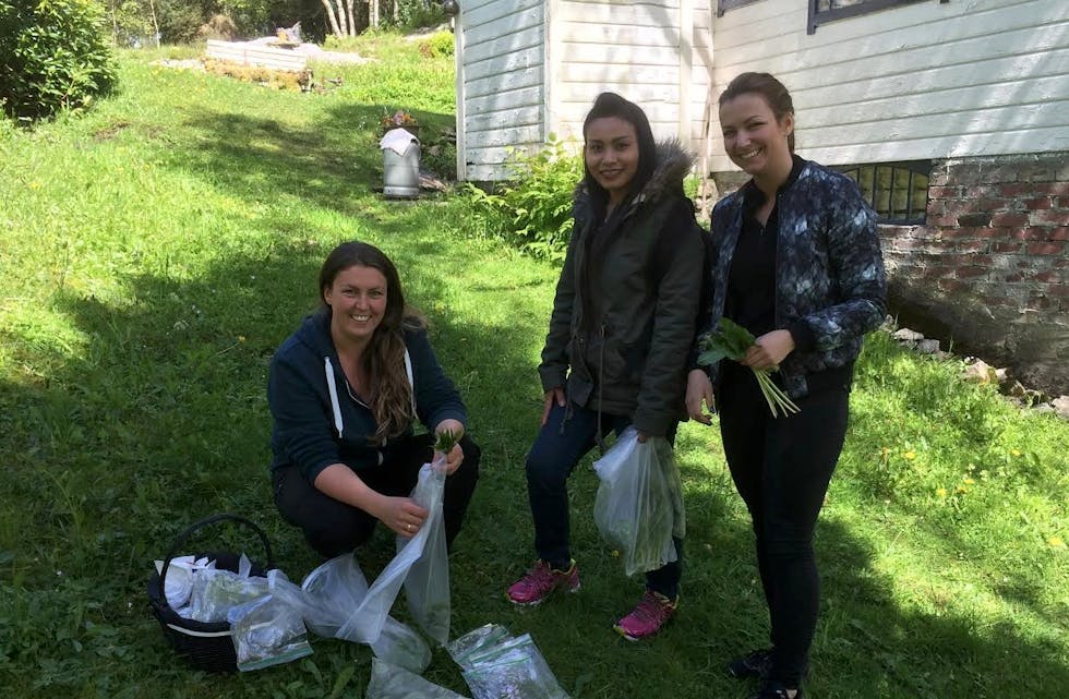 Skjermbilde 2015-06-02 kl. 15.43.58