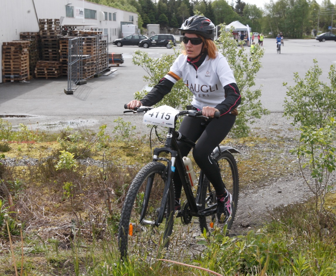 Skjermbilde 2015-06-06 kl. 13.24.04