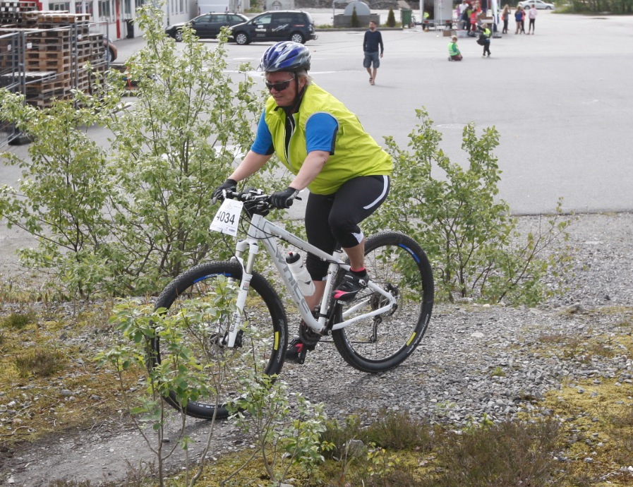 Skjermbilde 2015-06-06 kl. 13.27.51