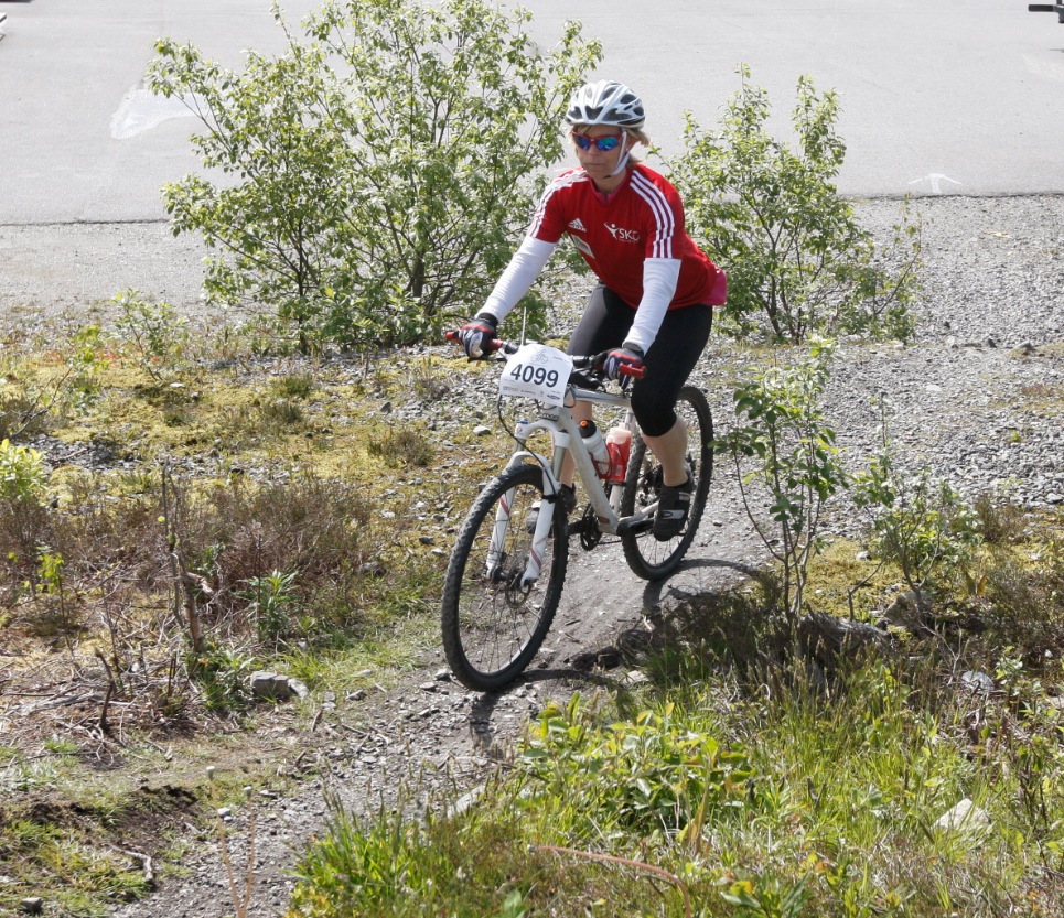 Skjermbilde 2015-06-06 kl. 13.37.15