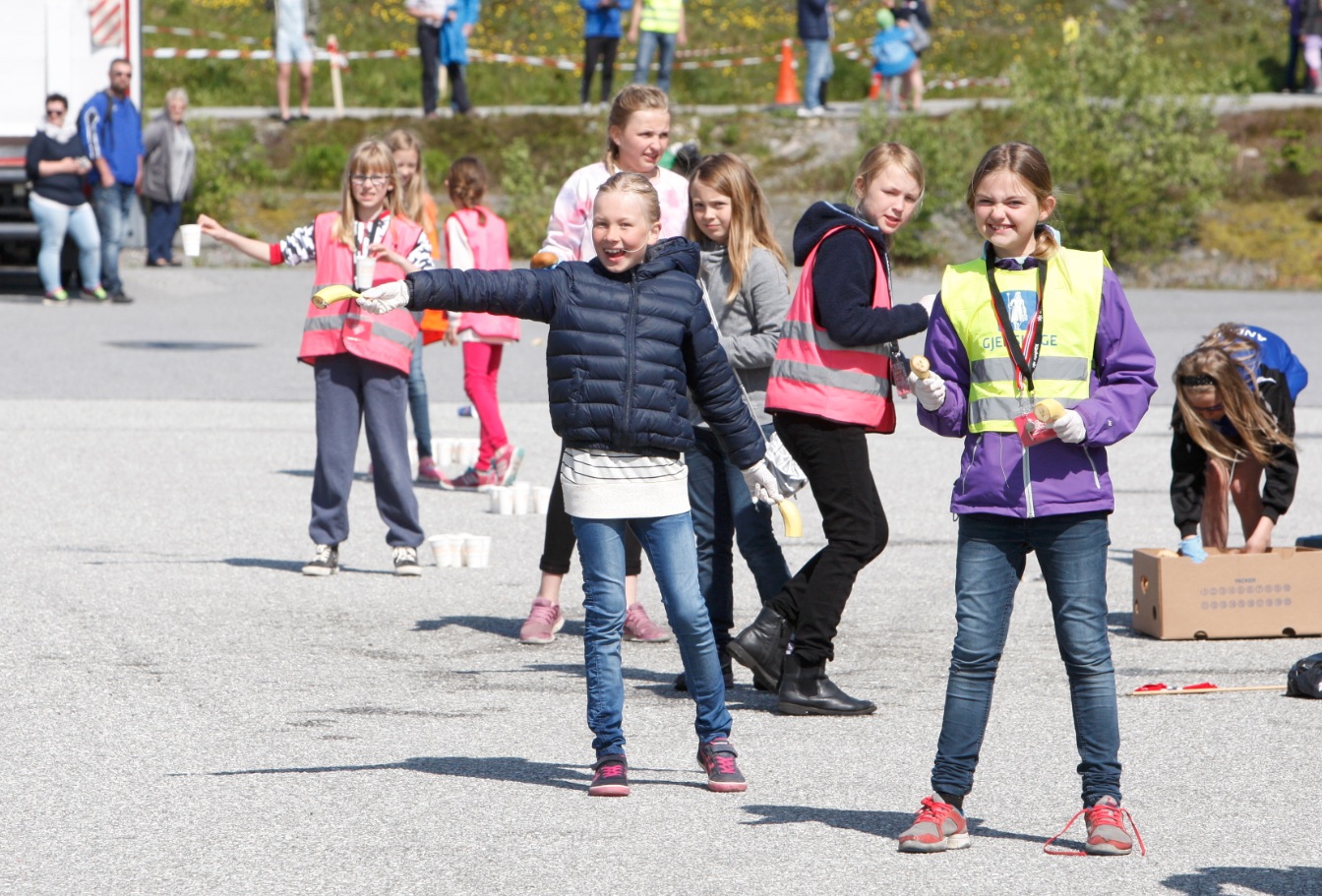 Skjermbilde 2015-06-06 kl. 13.39.24