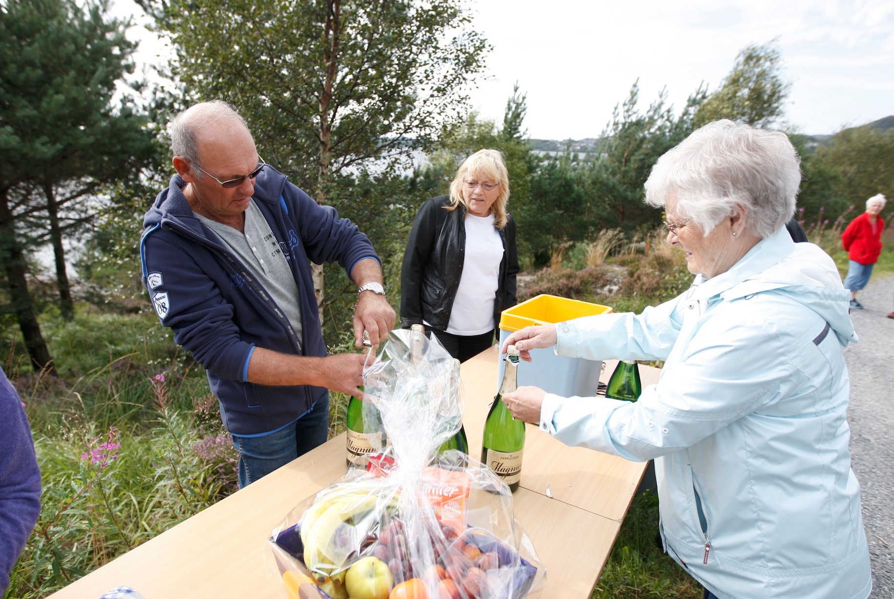 Skjermbilde 2015-09-17 kl. 08.22.32