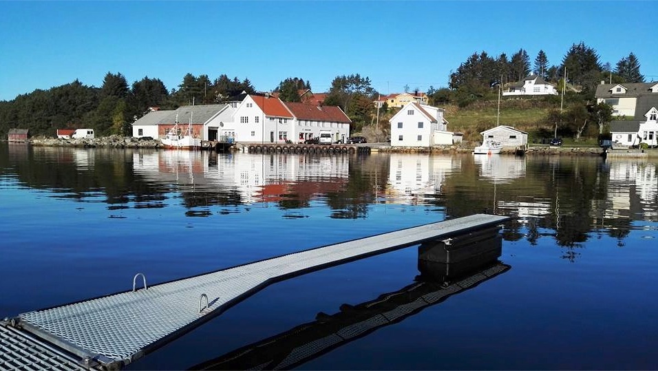 Slåttevik. Foto: Sondre Voll