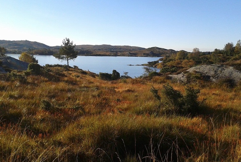 Skjermbilde 2015-10-16 kl. 13.10.26