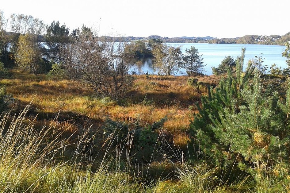 Skjermbilde 2015-10-16 kl. 13.10.34