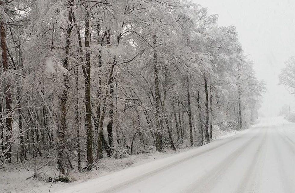 Fin men spinnglatt tur frå Nedstrand til Aksdal nå! Foto: Bjørg Rørtveit