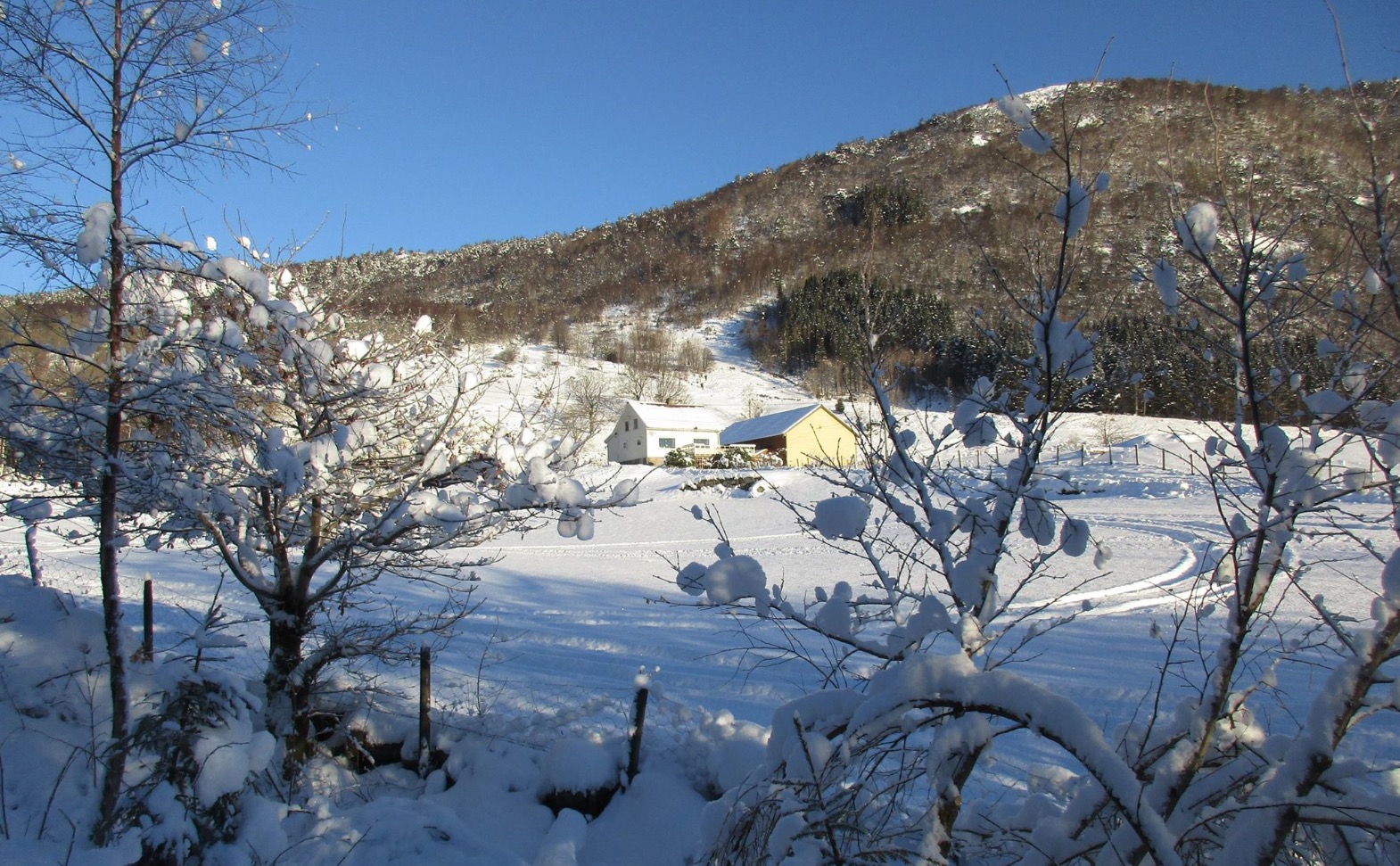 Skjermbilde 2016-01-21 kl. 08.44.50