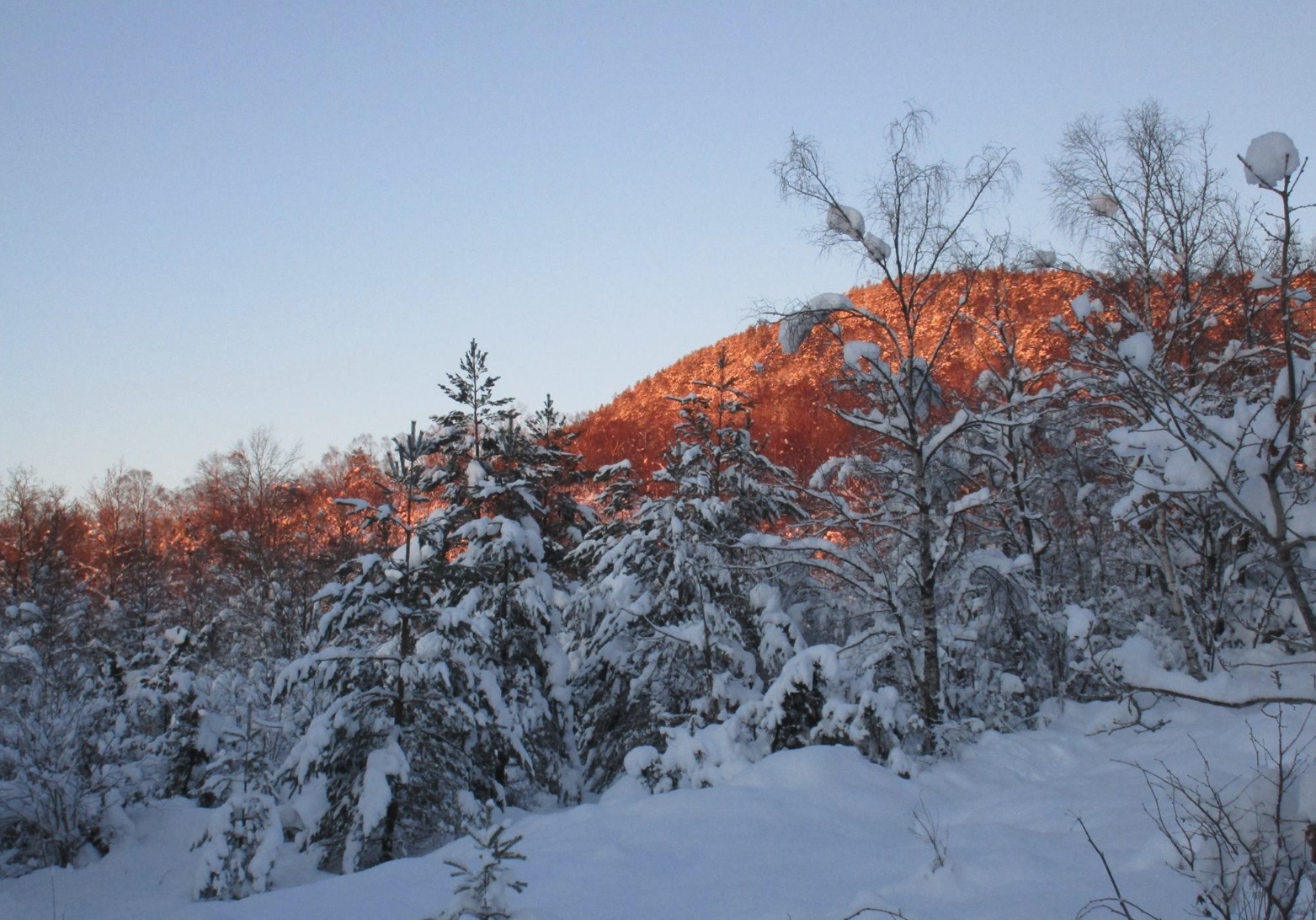 Skjermbilde 2016-01-21 kl. 08.45.20