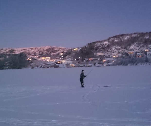 Skjermbilde 2016-01-21 kl. 08.46.08