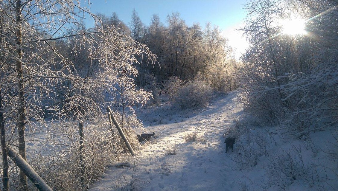 Høie,i forbindelse med Nordtveit gård. Foto: Heidi Benedikte Nordtveit