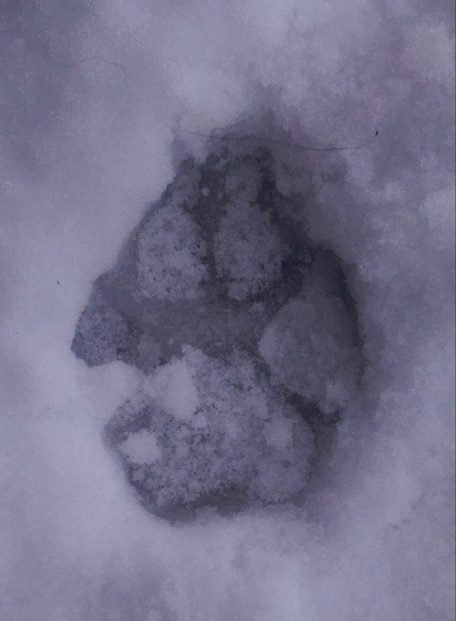 Høie,i forbindelse med Nordtveit gård. Foto: Heidi Benedikte Nordtveit