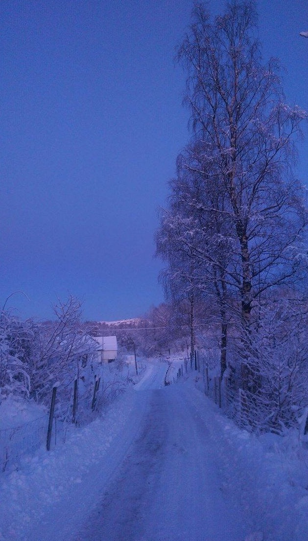 Skjermbilde 2016-01-21 kl. 09.54.08