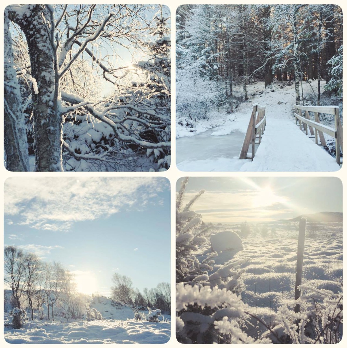 På vei til Håvåshytta. Foto: Tove Johnsrud Tysse