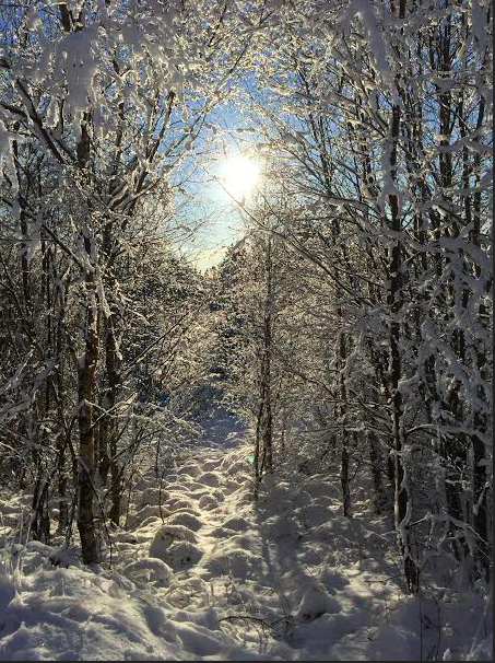 Skjermbilde 2016-01-21 kl. 23.06.04