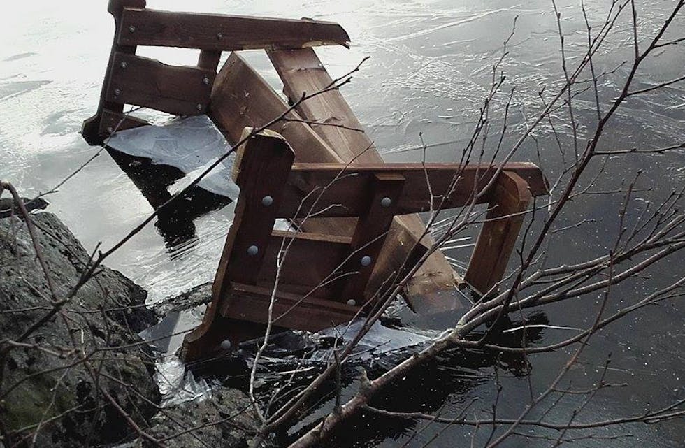 Dette er et trist syn i Aksdalsvannet. Foto: Paula Ranfrid Hansen