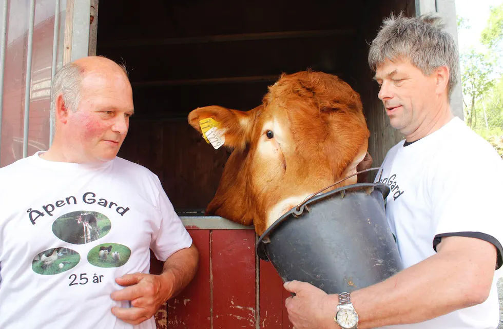 Knut Egil Stakkestad og Torleif Susort har delt omsorg for oksen Jovna av Gorseth. Foto Eva Birkeland