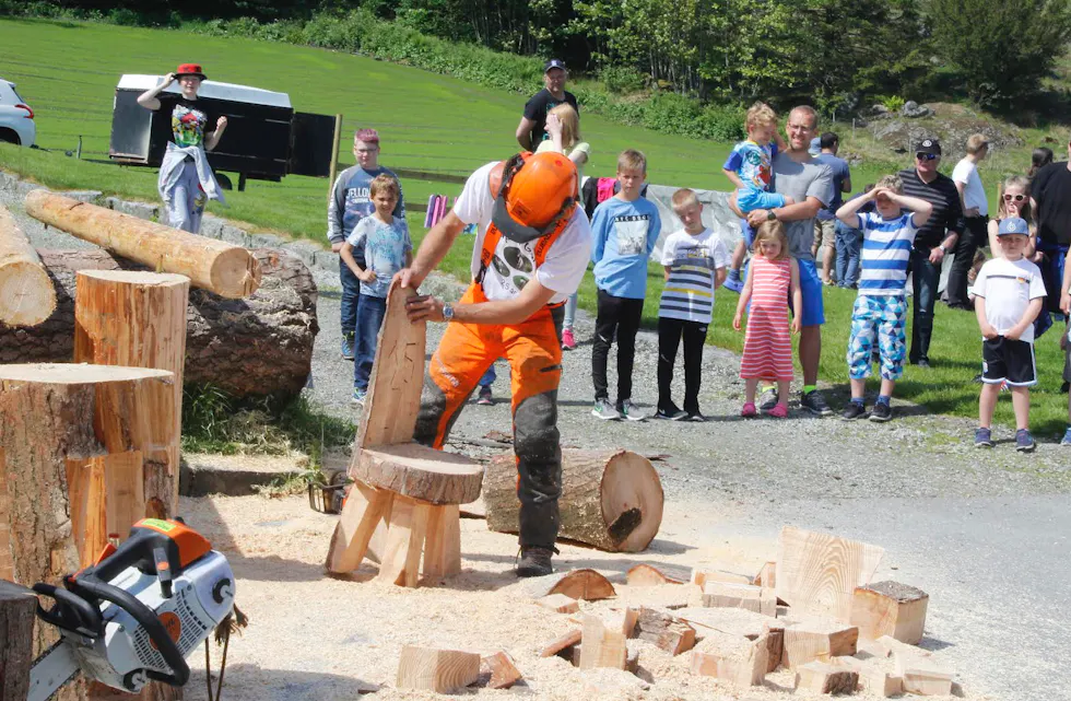 Mange nysgjerrige tilskuere når Per Helle lager stol med motorsag