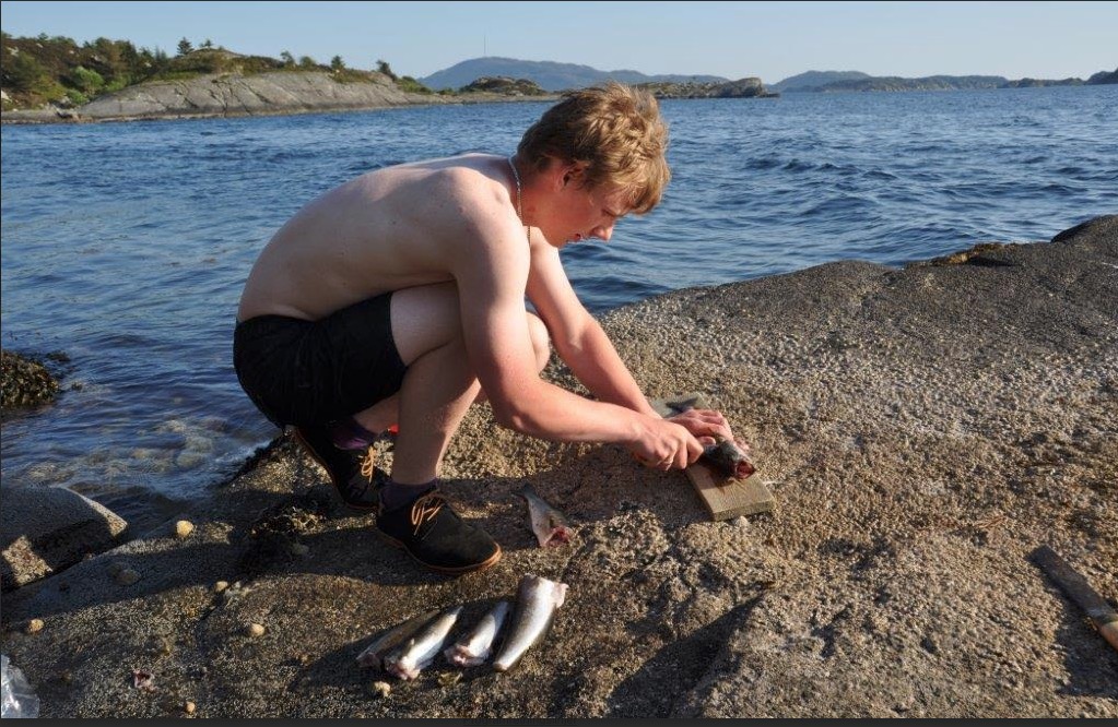 Skjermbilde 2016-06-15 kl. 16.01.58