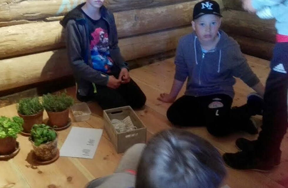 Skjermbilde 2016-06-17 kl. 15.20.35