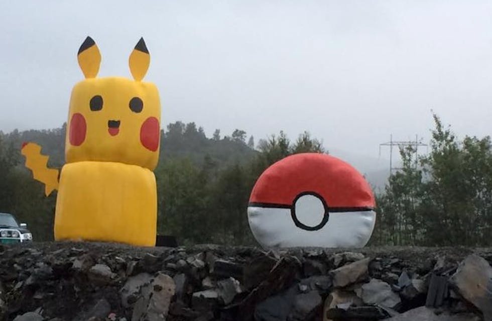 Bondens Pokémon GO i Dalbygda . Foto: Svein Dalva