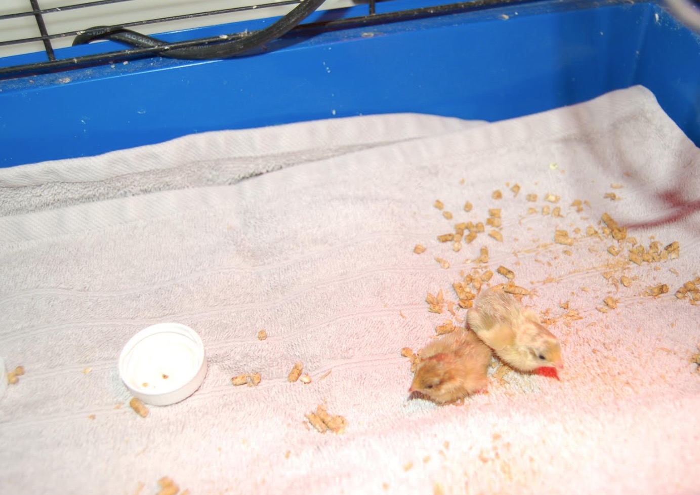 skjermbilde-2016-10-27-kl-10-03-27