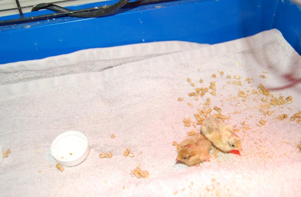 skjermbilde-2016-10-27-kl-10-03-27